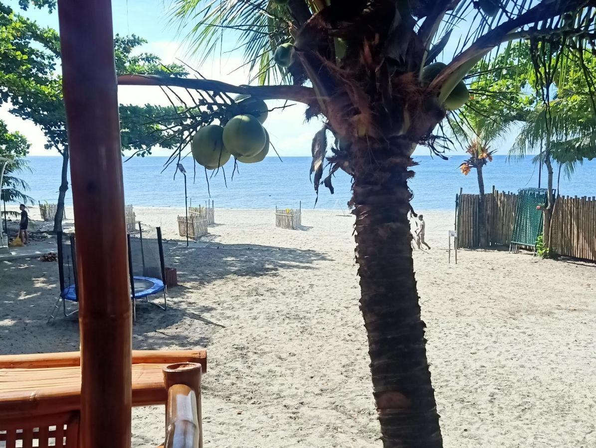 Shenanigans Glamping Resort Zamboanguita  Ngoại thất bức ảnh
