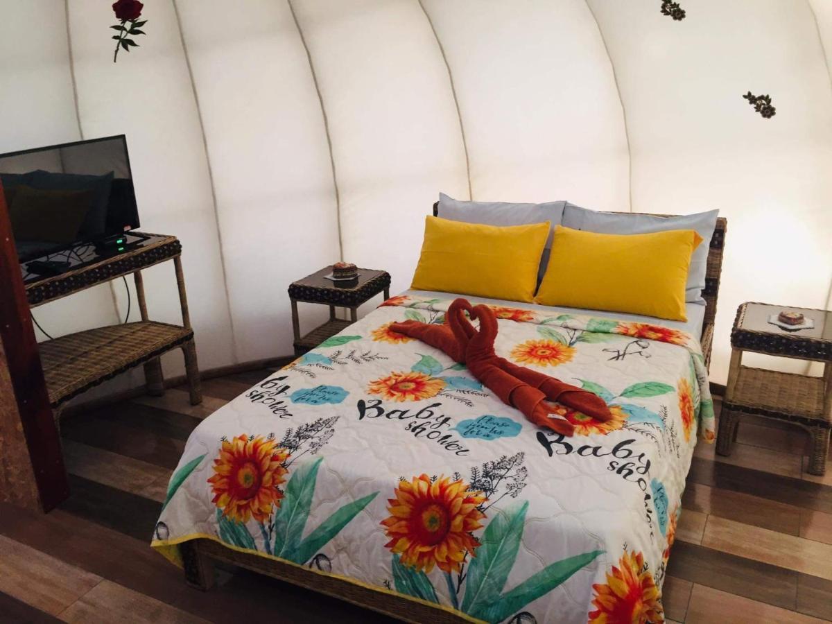 Shenanigans Glamping Resort Zamboanguita  Ngoại thất bức ảnh
