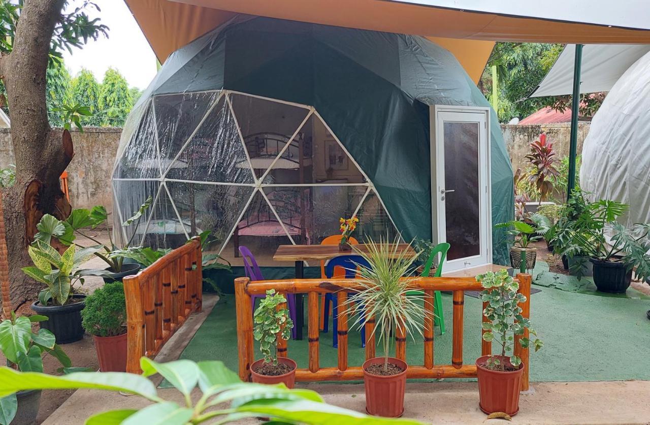 Shenanigans Glamping Resort Zamboanguita  Ngoại thất bức ảnh